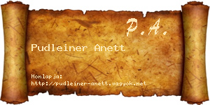 Pudleiner Anett névjegykártya